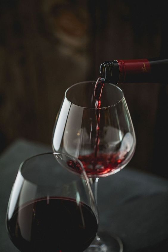 Démystification du Vin : Notre guide de dégustation 🍇🍷
