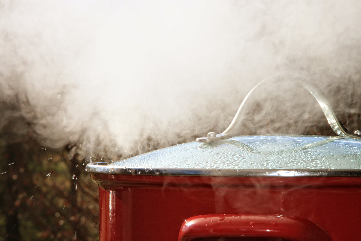 Cuisson Vapeur & Manger Sain Bracconi