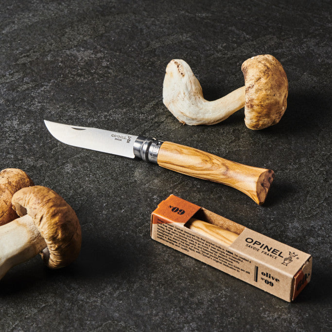 Photo d'ambiance officielle de la marque Opinel Bracconi