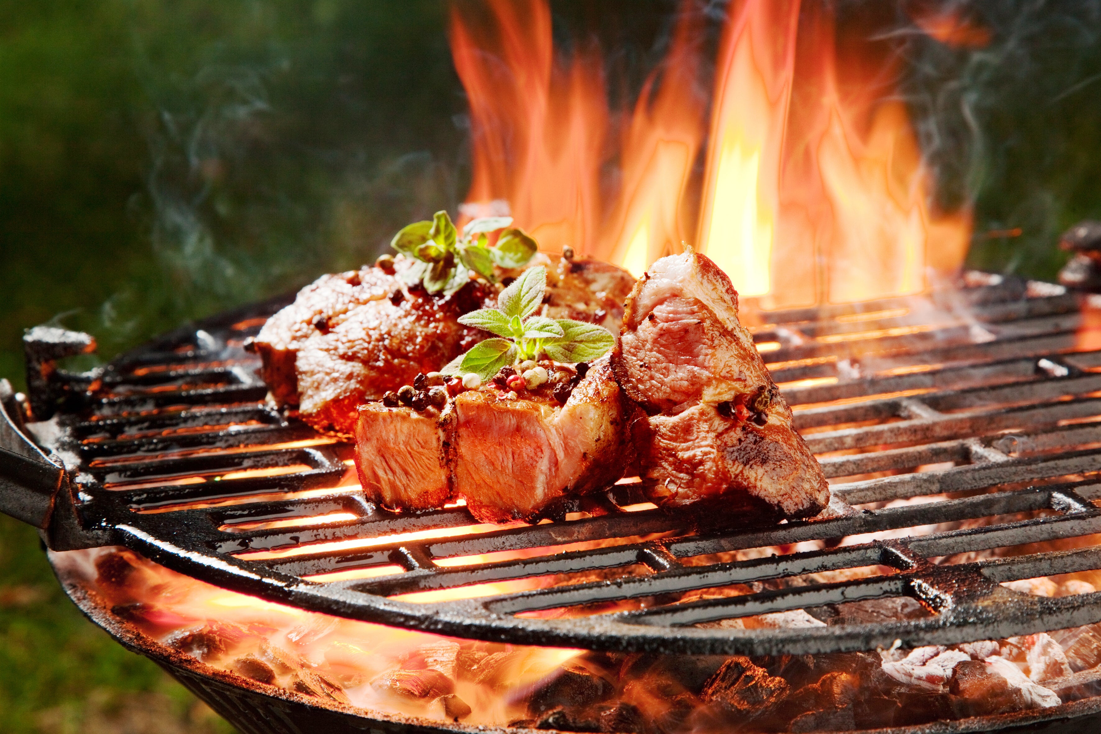 Grillade, Barbecue & Plancha Bracconi