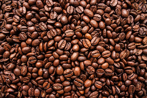 Photo d'ambiance officielle de la marque Terre de Café Bracconi