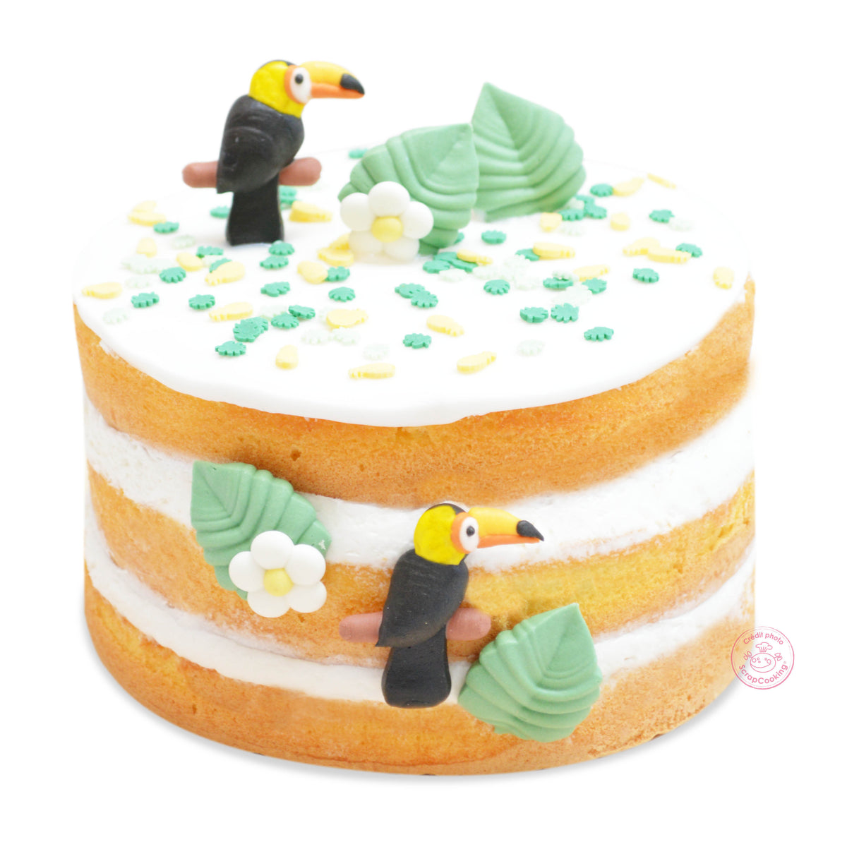 Décors en sucre thème Tropical pour gâteau | Scrapcooking