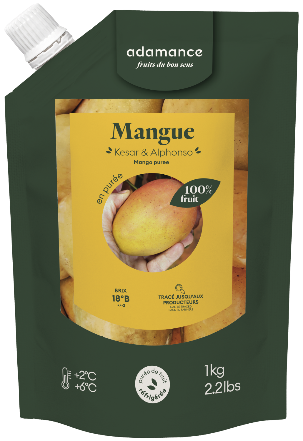 Purée de mangue 1kg | Adamance