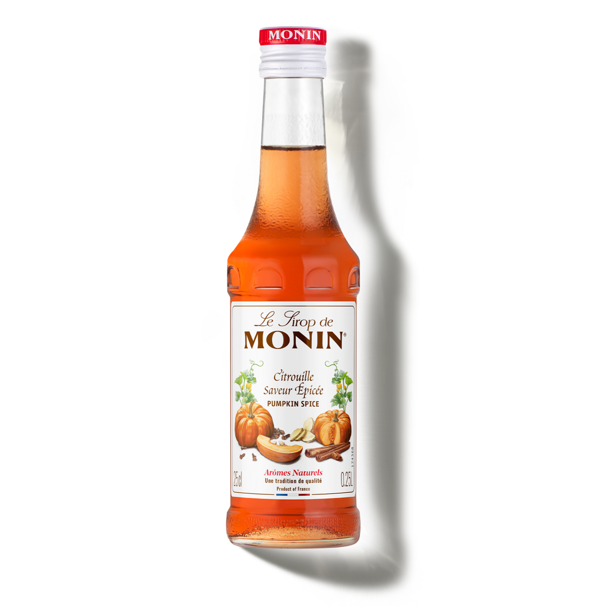 Sirop de citrouille épicée 25cl | Monin