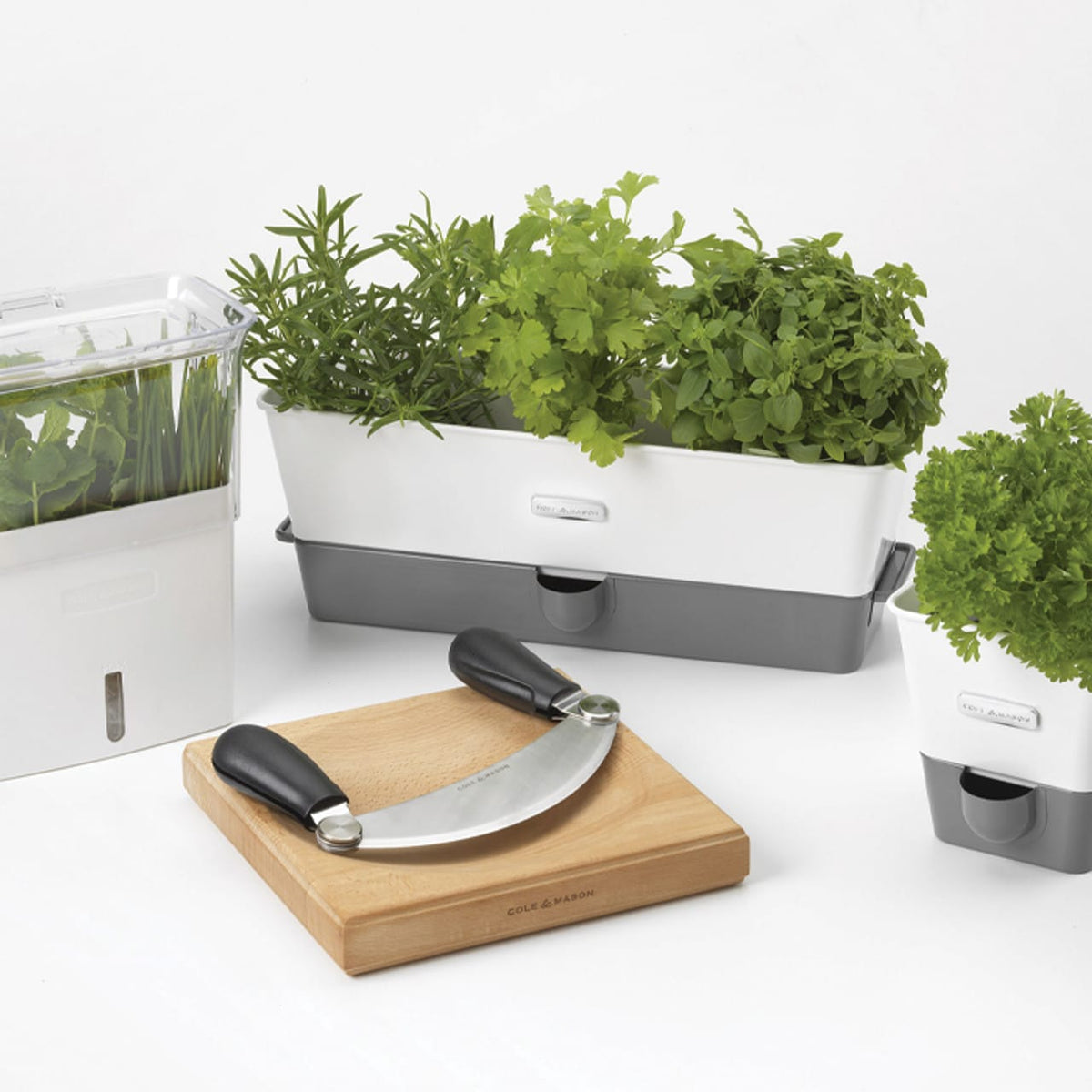 Grand pot de conservation | Cole & Mason
