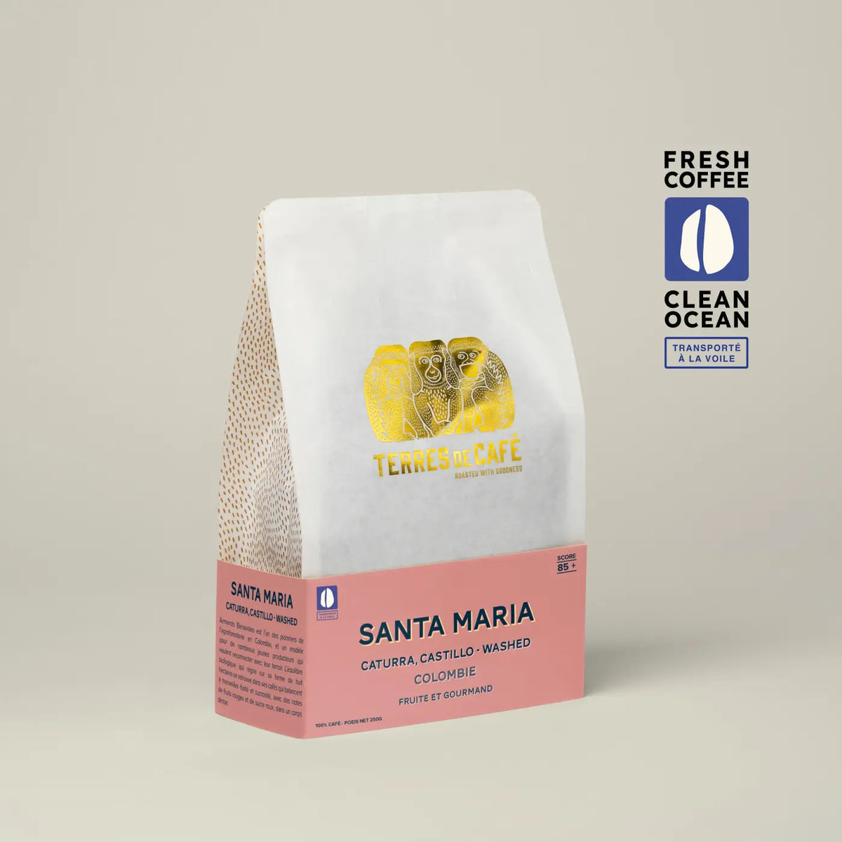 Café de terroir Colombie Santa Maria 250 g | Bracconi