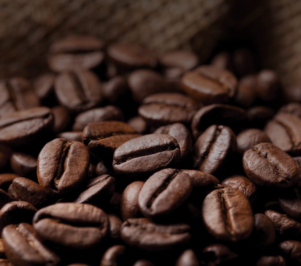Café en grains Livio | BOBRUN