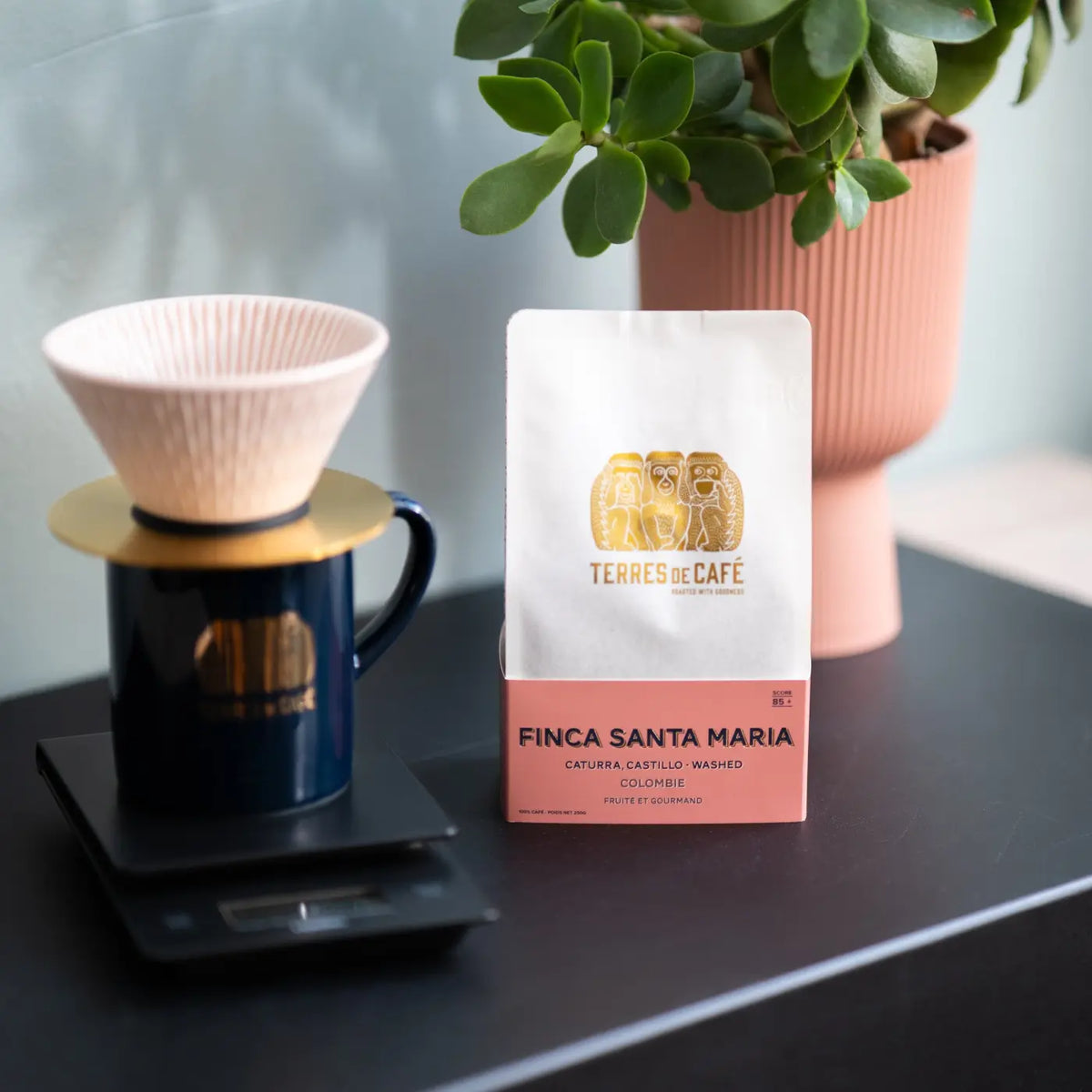 Café de terroir Colombie Santa Maria 250 g | TERRES DE CAFE