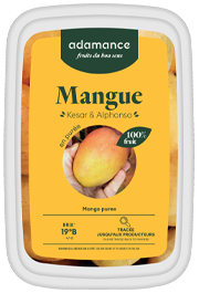Purée de mangue 1kg | Adamance
