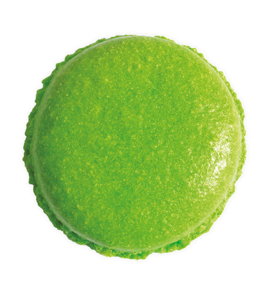 ScrapCooking - Colorant Artificiel en Poudre Vert Sapin 5g - Ingrédient  Pâtisserie Professionnel pour Gâteaux, Crèmes, Entremets, Macarons,  Biscuits - Fabriqué en France - 4048 : : Epicerie